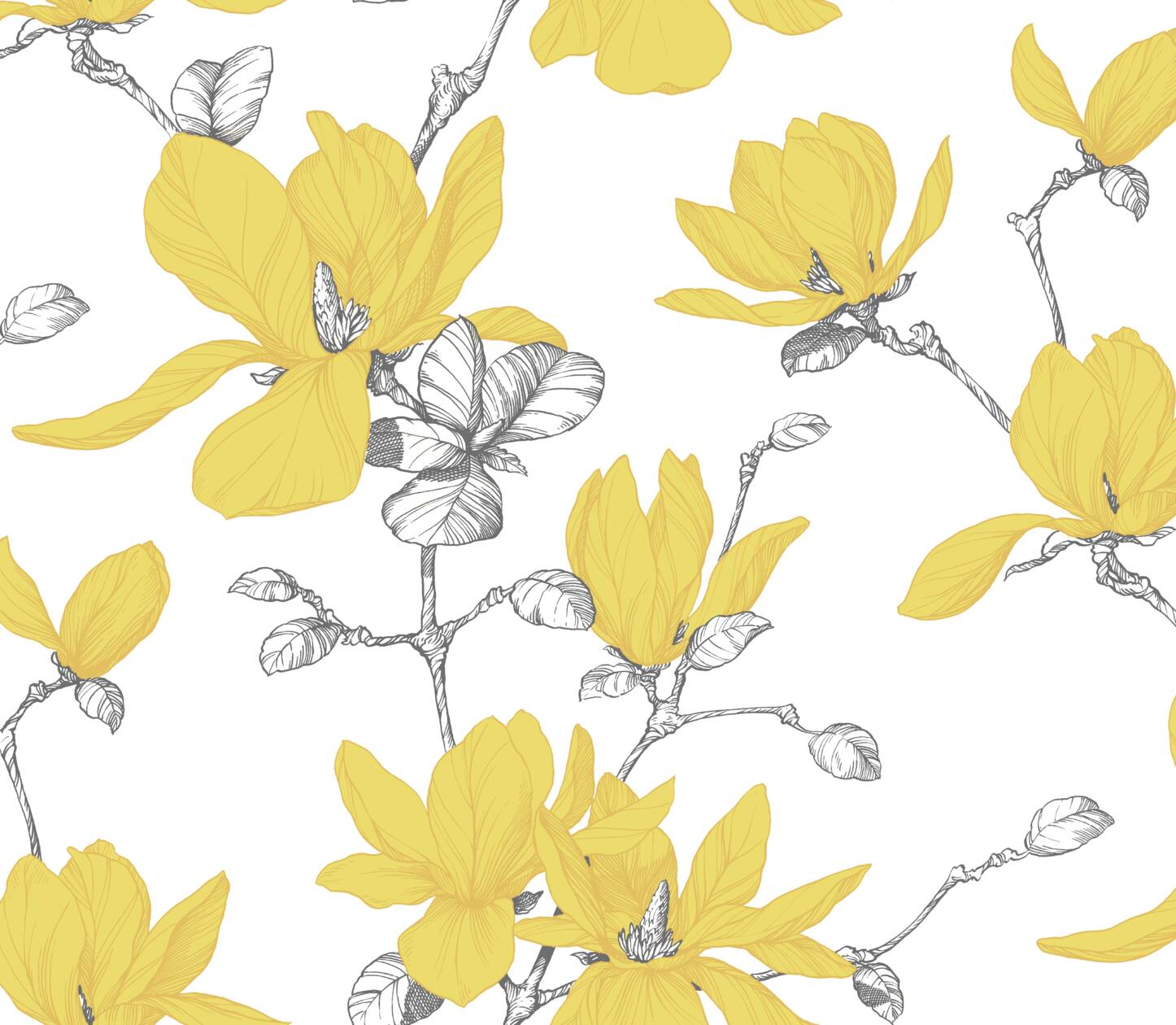 Magnolia