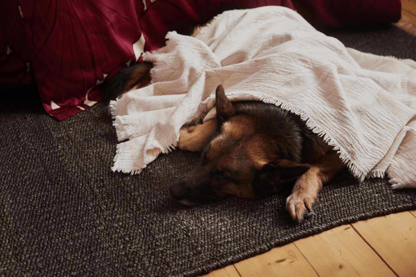 20630-5469-01-04_10; Finlayson Lilia Torkkupeitto