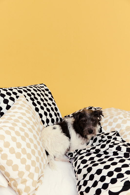 Pampula pussilakanasetti pussilakanat-pussilakanasetit