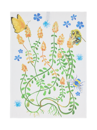 80072-5504-01-10; Finlayson Puutarhajuhla Keittiöpyyhe Monivärinen / 50x70 cm