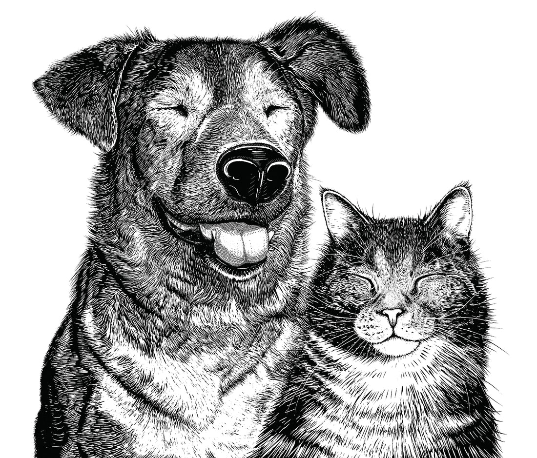 Villipedot Koira&Kissa