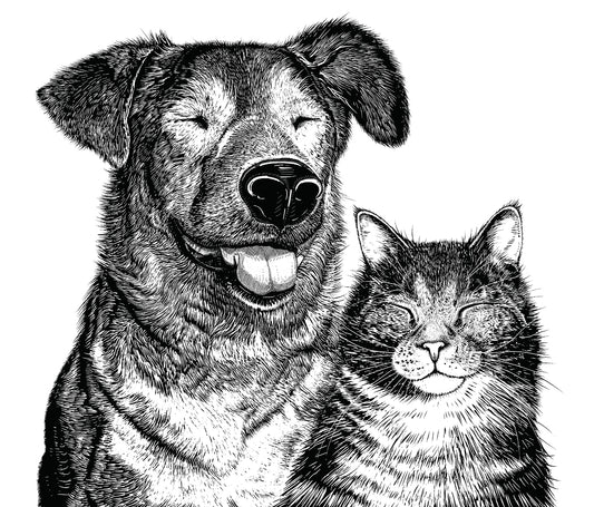 Villipedot Koira&Kissa