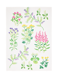 80072-5502-02-10; Finlayson Joutomaa Keittiöpyyhe Monivärinen / 50x70 cm 