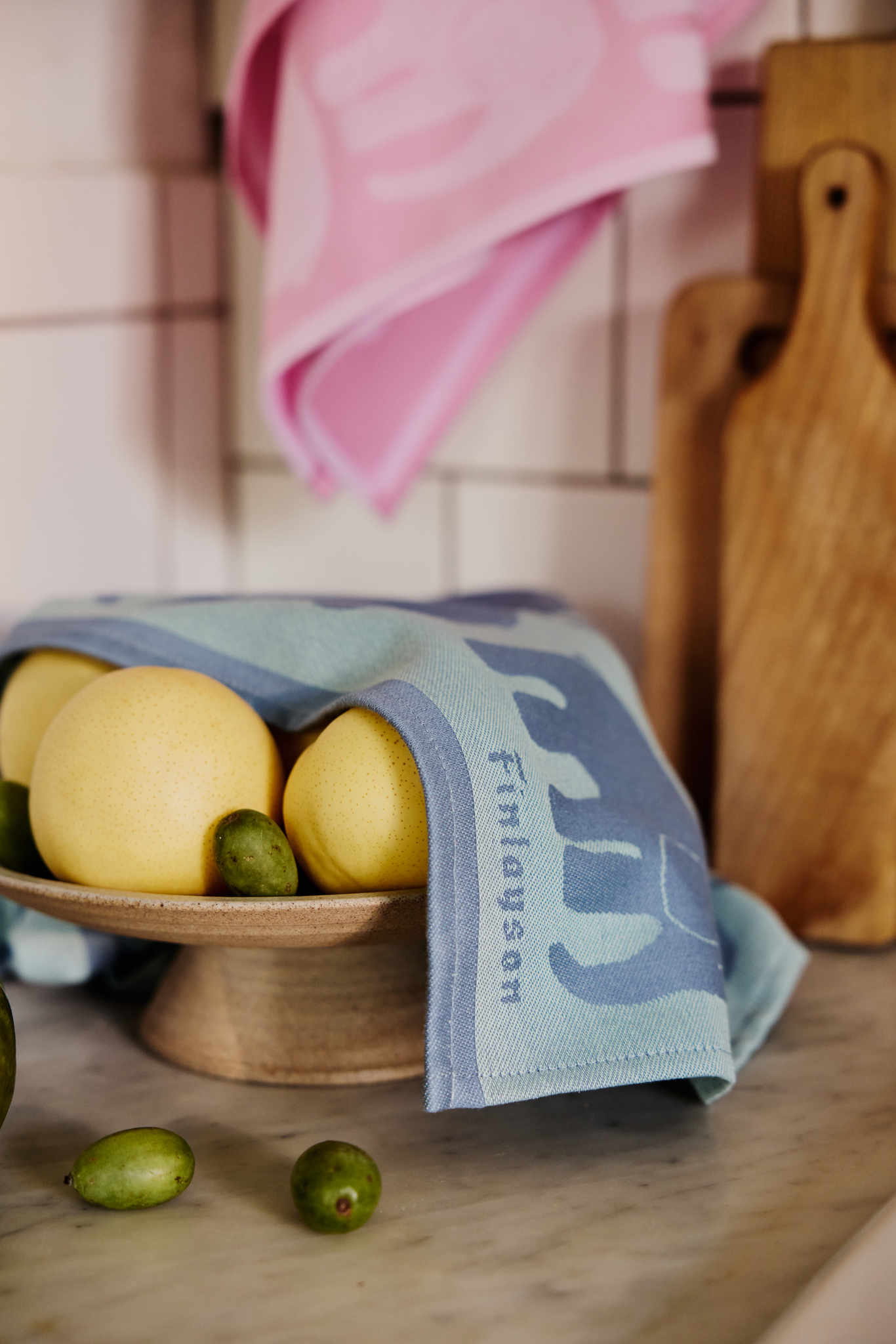 70940-4547-07-10_1; Finlayson Elefantti Keittiöpyyhe 2 kpl Siniharmaa / Mintunvihreä / 50x70 cm 