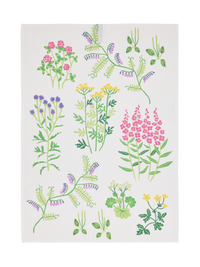 80072-5502-02-10; Finlayson Joutomaa Keittiöpyyhe Monivärinen / 50x70 cm 