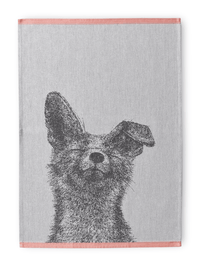 70910-5035-01-10; Finlayson Kettu keittiöpyyhe 2kpl Musta / Valkoinen / 50x70 cm