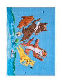 70571-5507-01-12; Finlayson Sankarit Käsipyyhe Monivärinen / 50x70 cm 