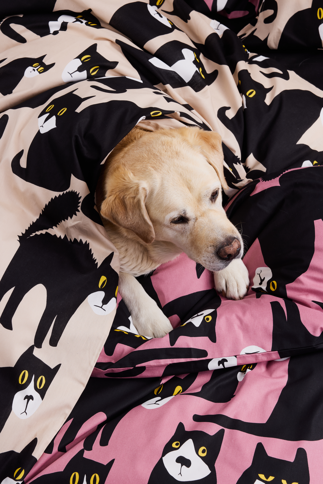 60652-5075-03-06_2; Finlayson Spot the dog Pussilakanasetti Malva / Musta / Keltainen / 150x210 + 50x60 cm 