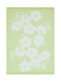 70940-5489-03-10; Finlayson Rosa Keittiöpyyhe 2 kpl Vaaleanvihreä / Valkoinen / 50x70 cm 