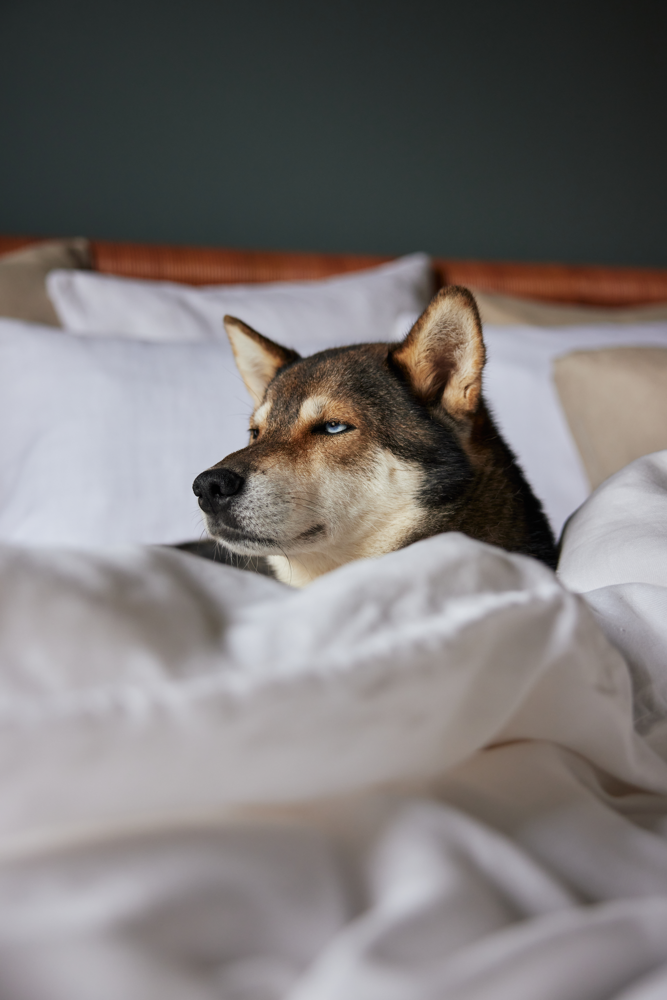 60750-0200-02-06_3; Finlayson Jesus Pellavapussilakanasetti Valkoinen / 150x210 + 50x75 cm 